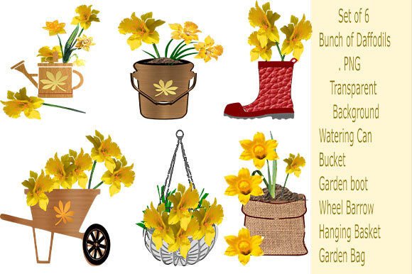 A Bunch Daffodils Set 2: A Designer's Real-World Review