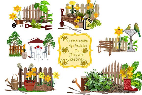 A Set of 6 Daffodils Gardens Review